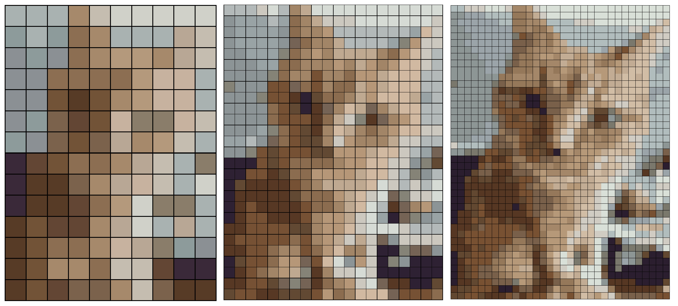My neighbours&rsquo; cat, in varying degrees of pixellation.